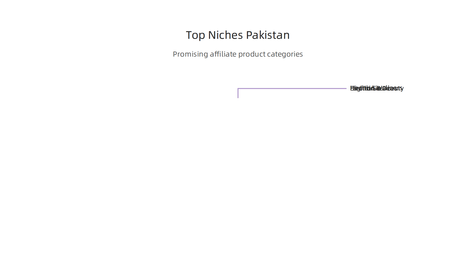 Explore the most promising product categories for affiliate marketing in Pakistan.